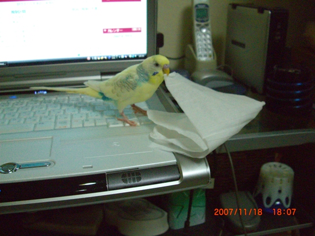 20071119 (1)