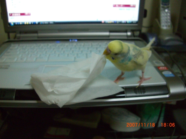 20071119 (2)