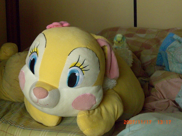 20071117 (1)