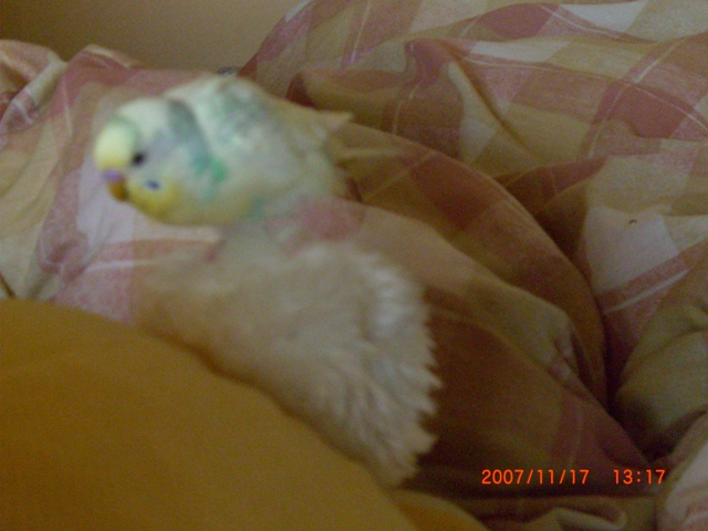 20071117 (2)