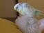 20071117 (4)