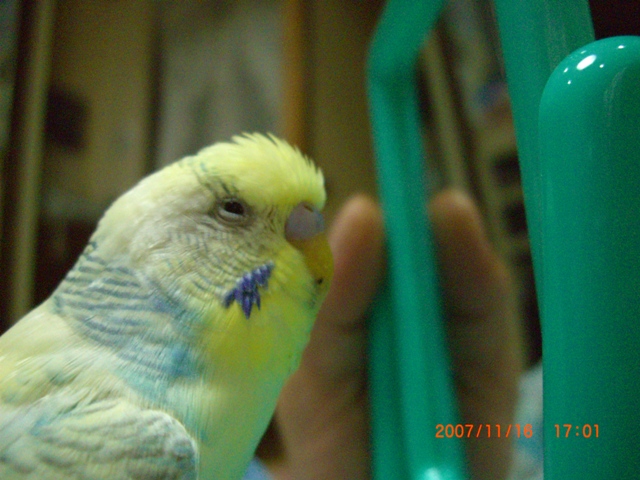 20071116 (2)
