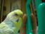20071116 (2)