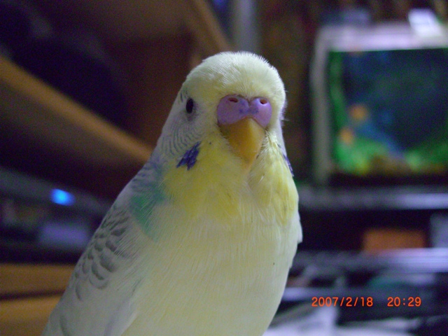 20070218 (7)