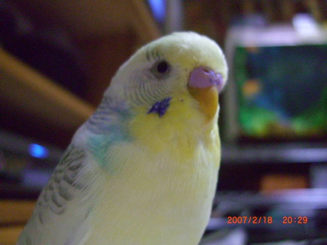 20070218 (6)