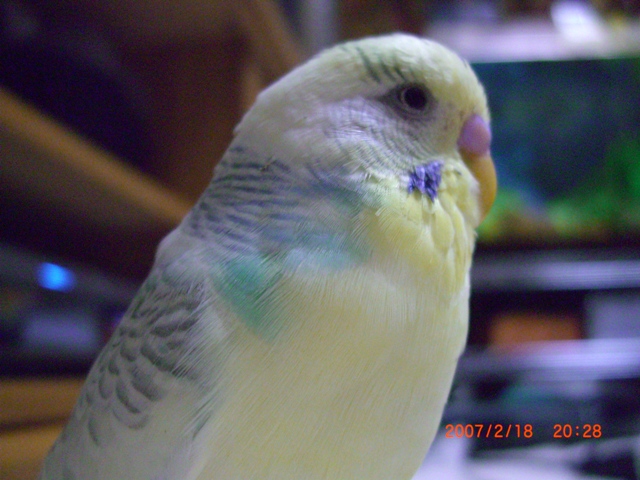 20070218 (5)