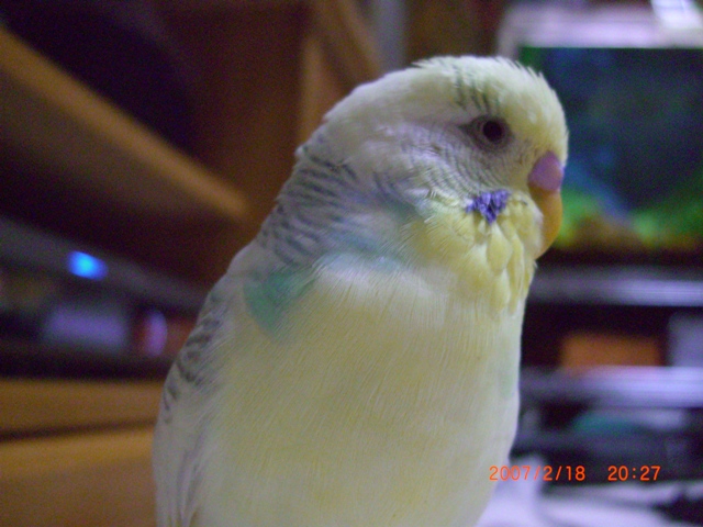 20070218 (4)