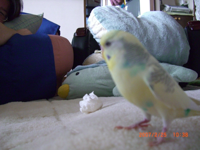 20070225 (6)