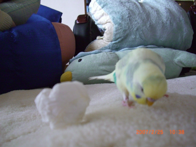 20070225 (5)