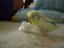 20070225 (4)