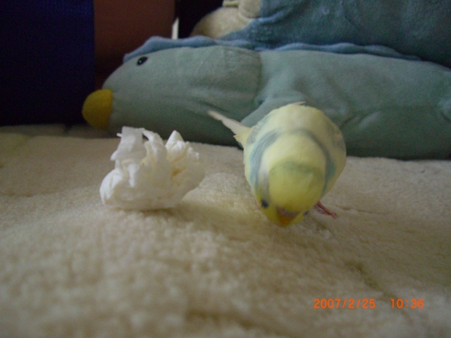 20070225 (3)