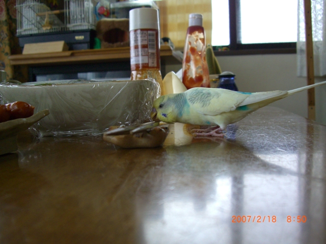 20070218 (10)