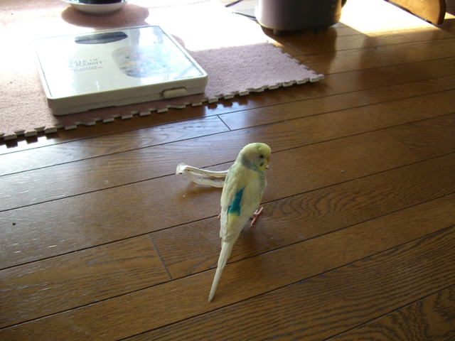20070204 2 (7)