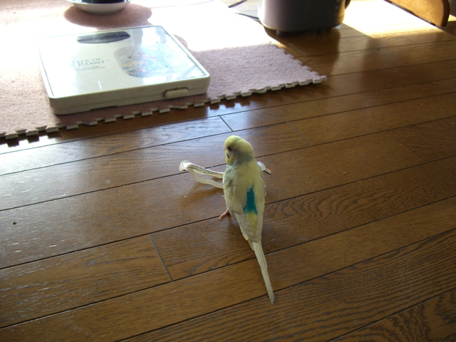 20070204 2 (6)