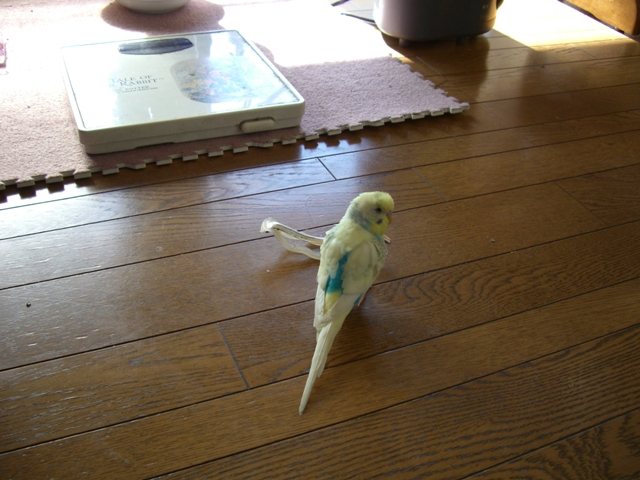 20070204 2 (5)
