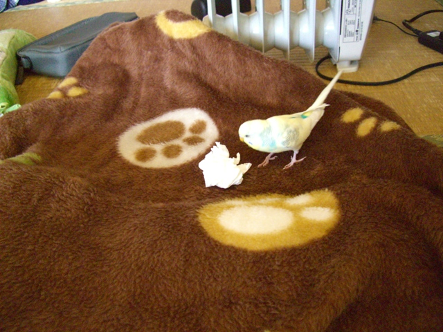20070204 2 (4)