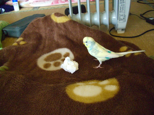 20070204 2 (3)