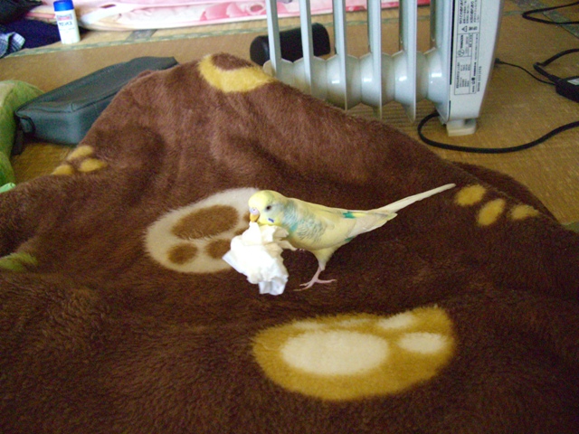 20070204 2 (2)