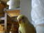 20070204 2 (10)
