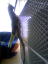 20090207�F�I�[�����̑�`�� (2)