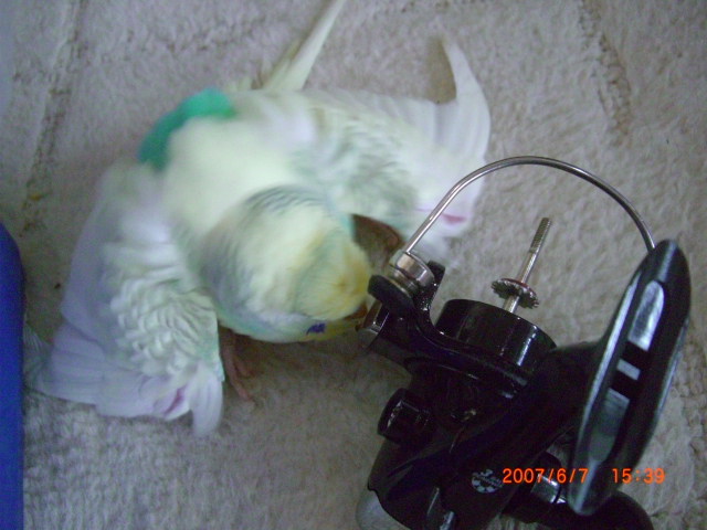 �G�b�`�����Ⴆ