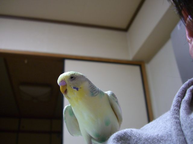 �y�[���Y (4)