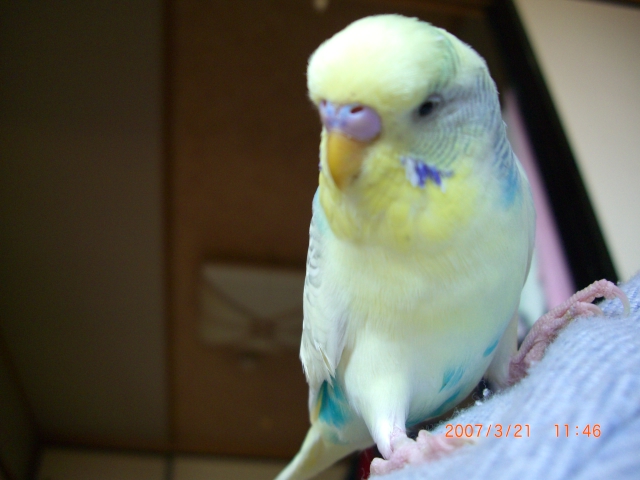 �y�[���Y (25)