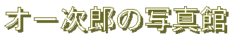�I�[���Y�̎ʐ^��