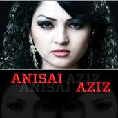 Anisai Aziz   @~ypy @xyx(2011) [TAJIKISTAN]